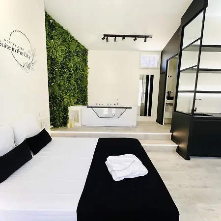 Suite In The City Avec Jacuzzi Privatif - Hyper Centre Montpellier Exterior photo