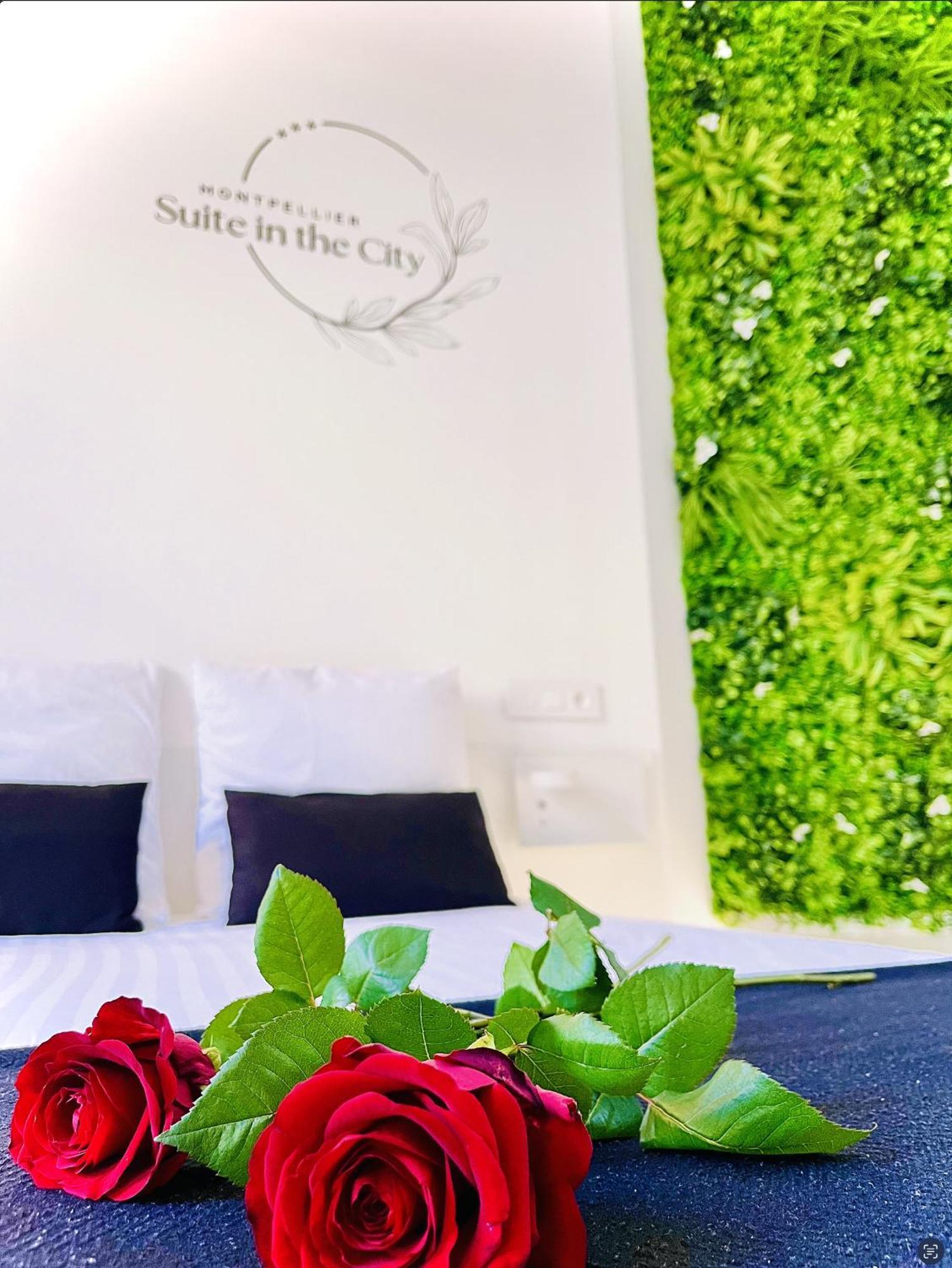 Appartamento In The Avec Jacuzzi Privatif - Hyper Centre